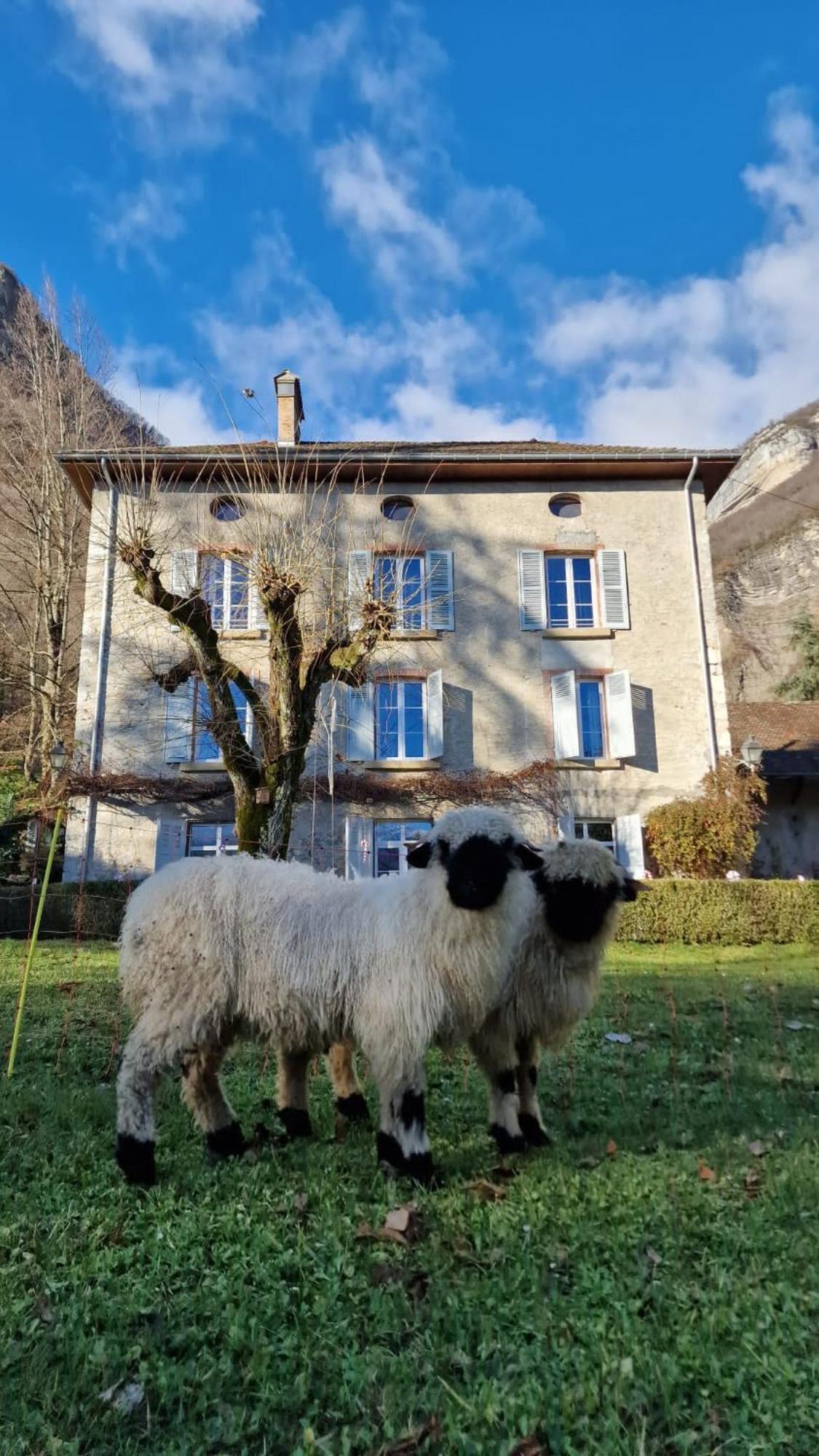 Chateau Monts Blancs Lumbin Buitenkant foto